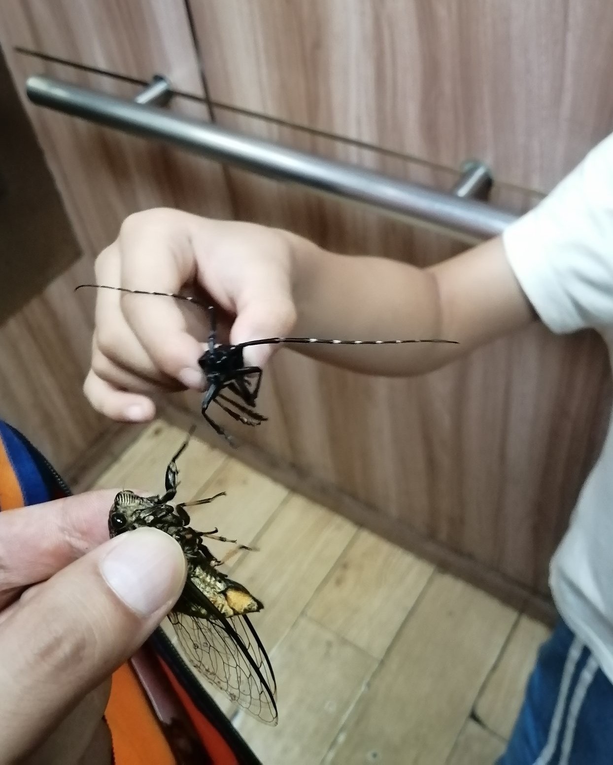 第一次养宠物就出糗了🙃