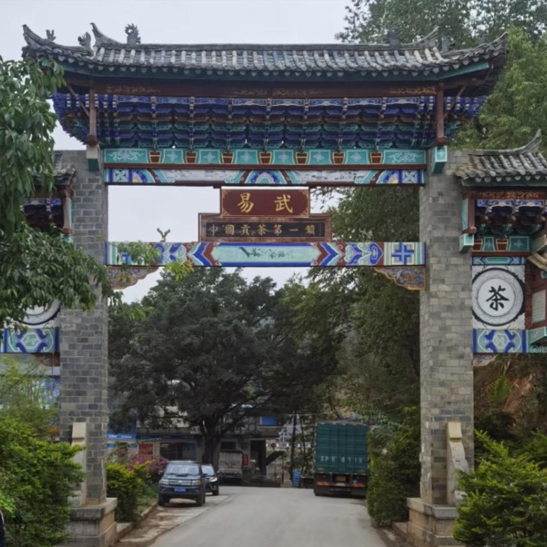 如何喝懂一款茶,怎么喝懂六堡茶