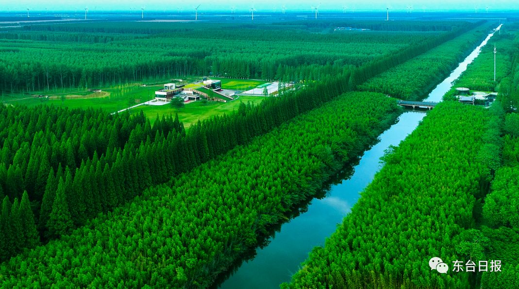 东台生态环境,东台宜居城市