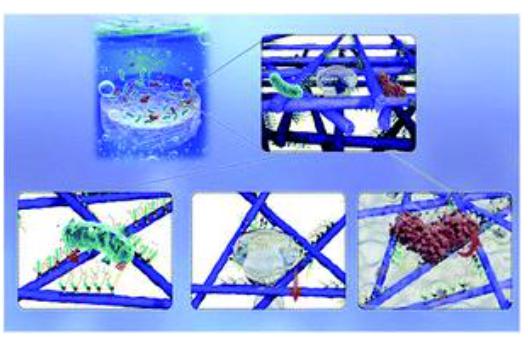 纳米纤维静电纺丝,静电纺丝纳米材料