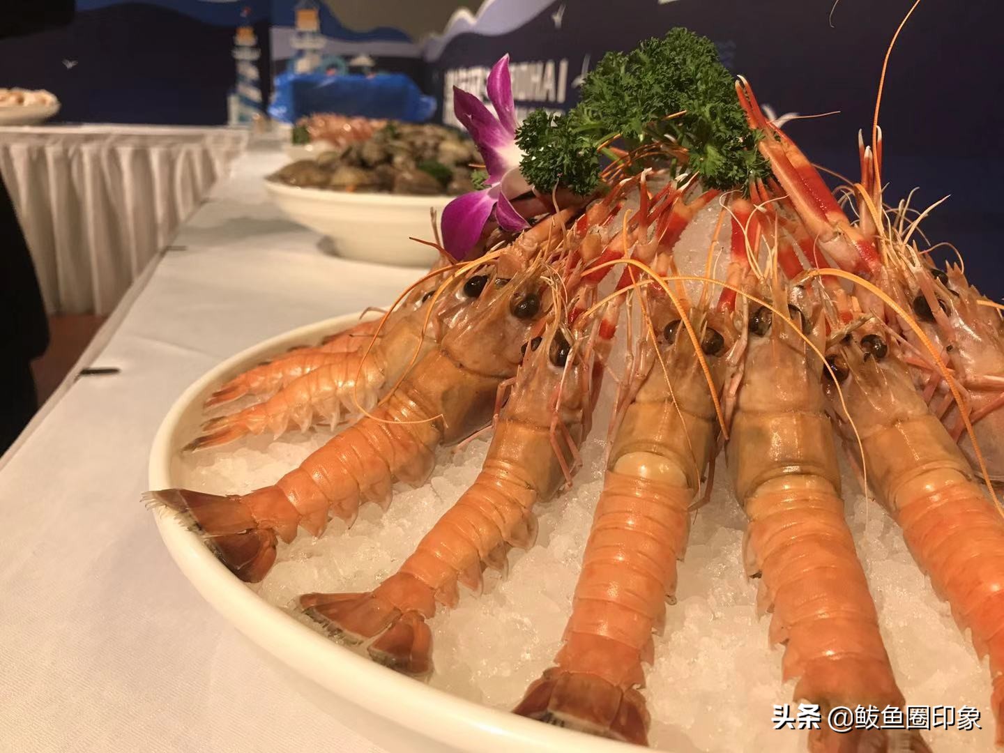 最近网上卖海鲜,为啥直播都在卖海鲜