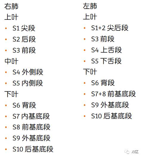 如此详细的肺部影像解剖，有点儿酷！