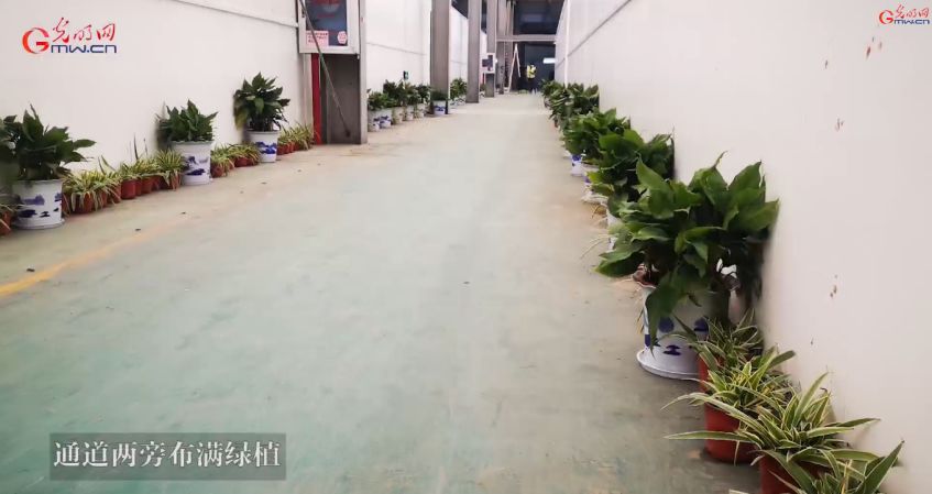 新冠病毒肺炎医疗费,新冠肺炎的天价医疗费