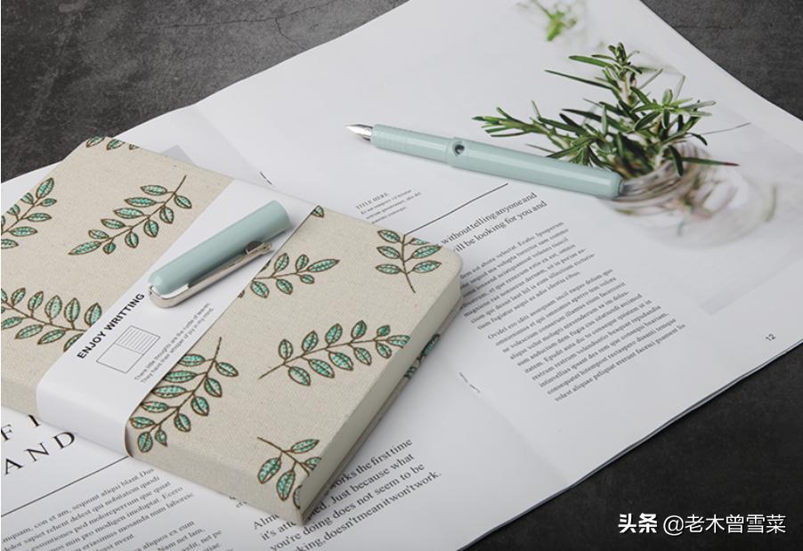 新手钢笔入门推荐,适合新手入门的钢笔