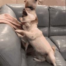 史上奥斯卡最佳电影,好看的奥斯卡最佳电影排行榜