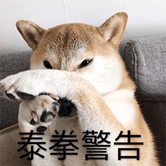 小孩在学校里打架老师不管,日本小朋友在学校打架