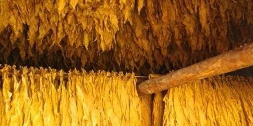 简便计算六年级,简便计算带答案