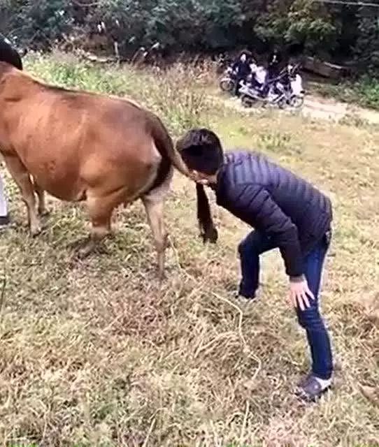 2019年十大*局骗**：教你赚钱、社群学习、伪区块链、人口红利