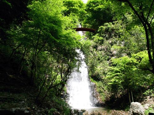 虫草山水画,四季花草山水画作品欣赏