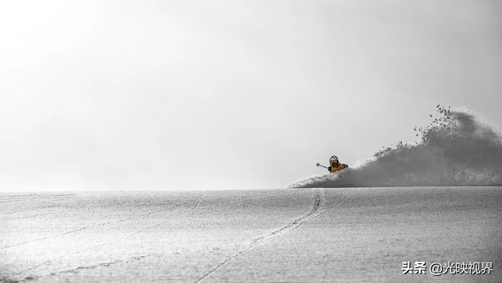 2022年度的ipa摄影大赛获奖作品,2020ippa摄影大赛奖项公布