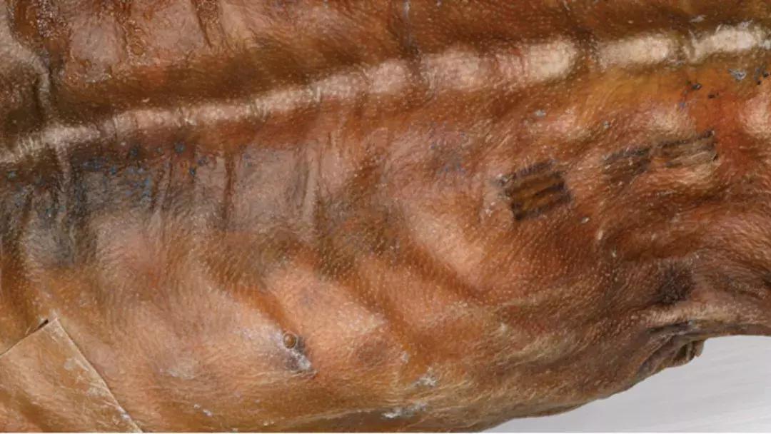 过年纹什么好,过年了给自己纹个眉