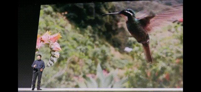 5g版华为mate30深度拍照,华为mate40系列发布