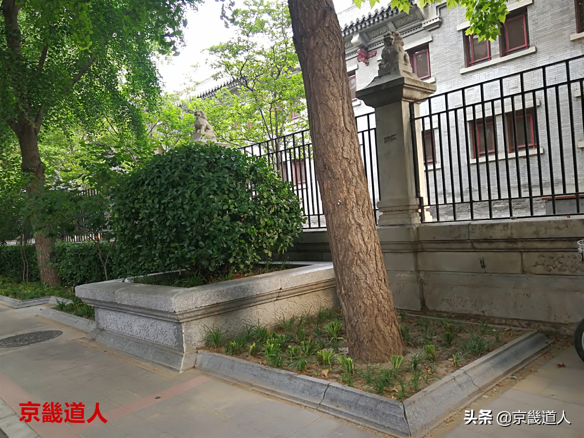 消失的民国十大名校辅仁大学,民国辅仁大学旧址