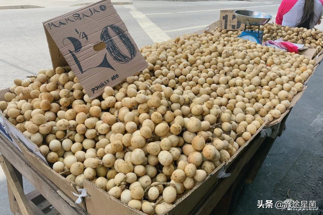 宿务属于菲律宾哪个省,宿务到马尼拉需要什么手续