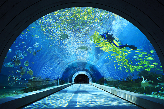 洲际海棠湾酒店,洲际酒店三亚