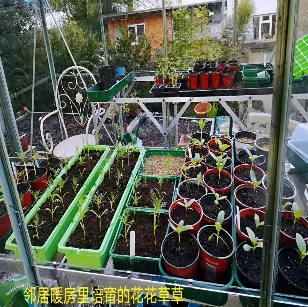 从英国回国为什么要转机,从英国回国需做哪些准备