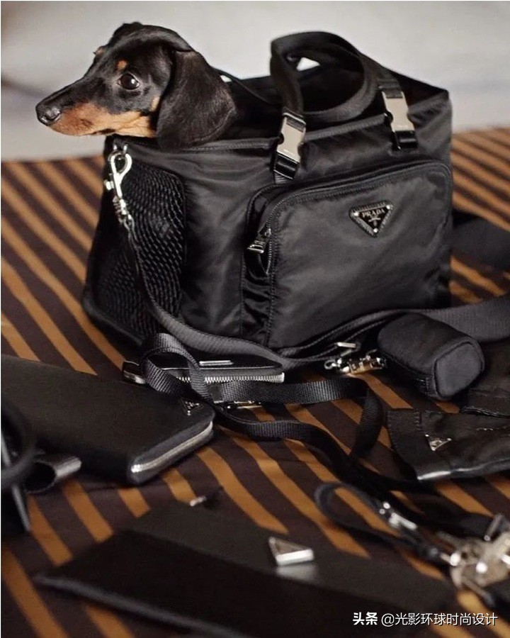 凡尔赛文学背后的秘密,凡尔赛文学大合集