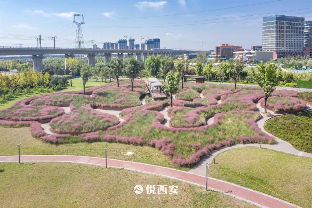 能源金贸区商业综合体规划,能源金贸区商业综合体