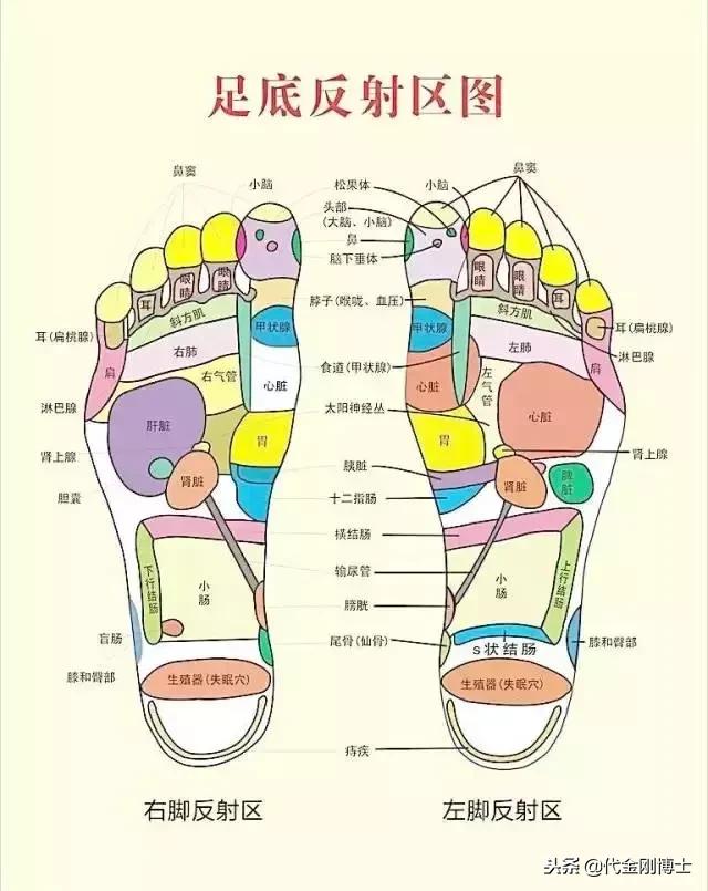 寒从脚底起病自心中生,寒从足下起病从脚底除