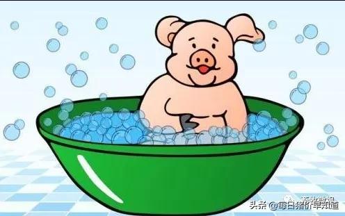 「猪热应激」0死亡!最科学的猪热应激治疗方案