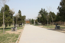 中国城市路网地图,安徽亳州城市全景