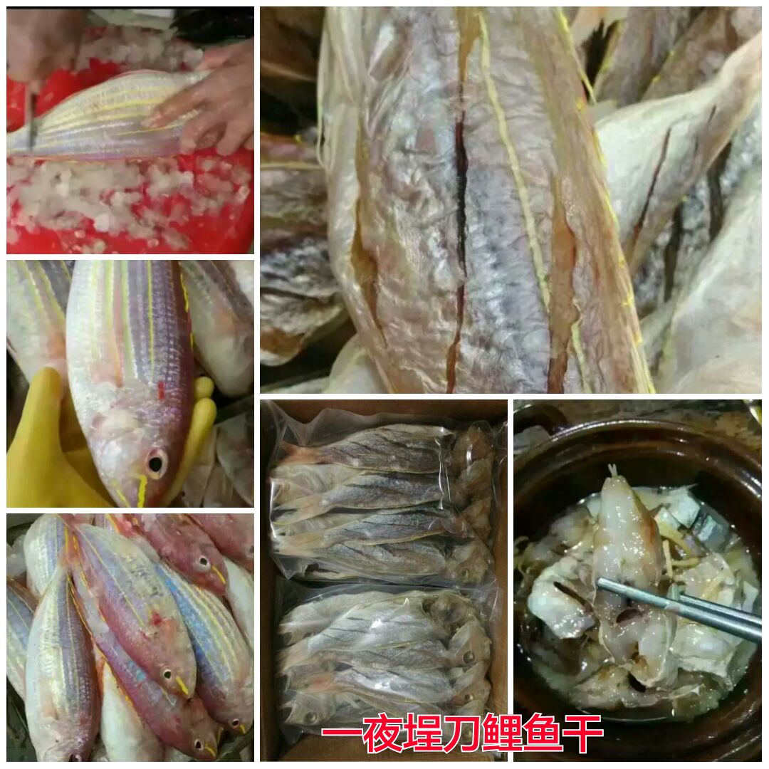 海陵岛闸坡渔港,海陵岛闸坡世界级渔港码头