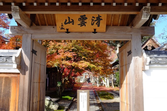 京都赏枫2022,京都赏枫必去景点有哪些好玩的