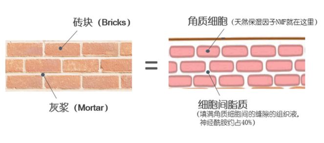 皮肤很差怎么办如何改善皮肤问题,皮肤非常差怎么挽救