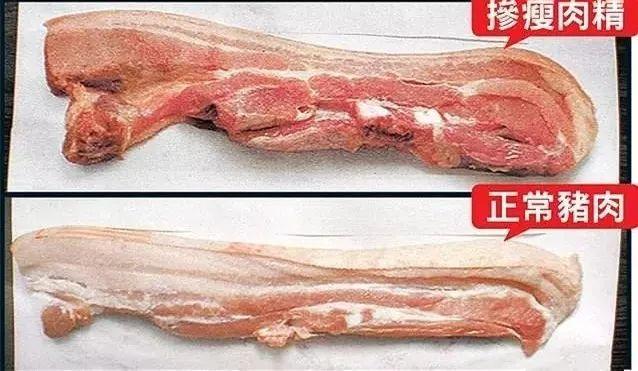 养羊大县瘦肉精处理结果,河北养羊大县又见瘦肉精