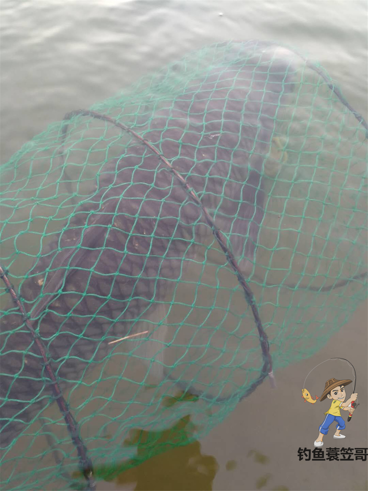 钓鱼人的高光时刻窝料,钓鱼人的高光时刻是什么