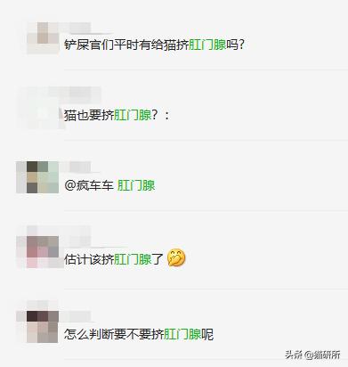 猫咪一定要挤肛吗,猫咪要不要定时挤肛腺