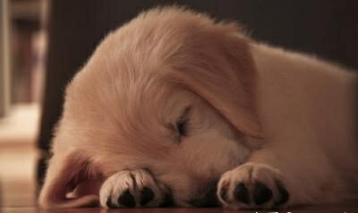 失眠的时候如何快速入睡,失眠的时候怎么才能快速入睡