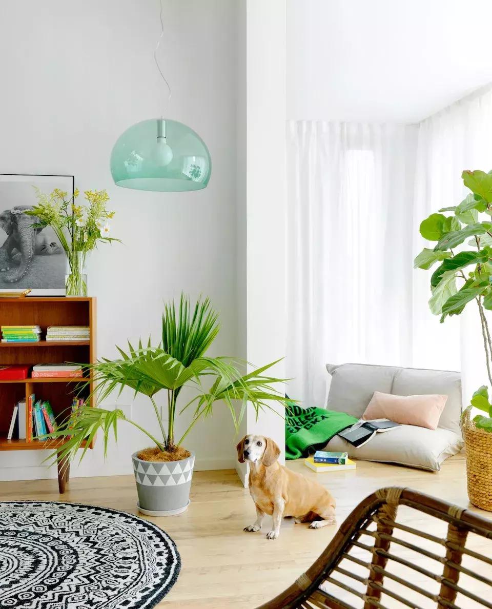 雨神萧敬腾的台北豪宅,雨神萧敬腾最近在成都哪