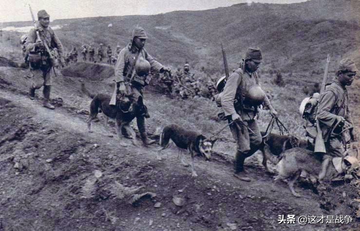 日本鬼子给地主打工,日本鬼子来到中国会怎么样