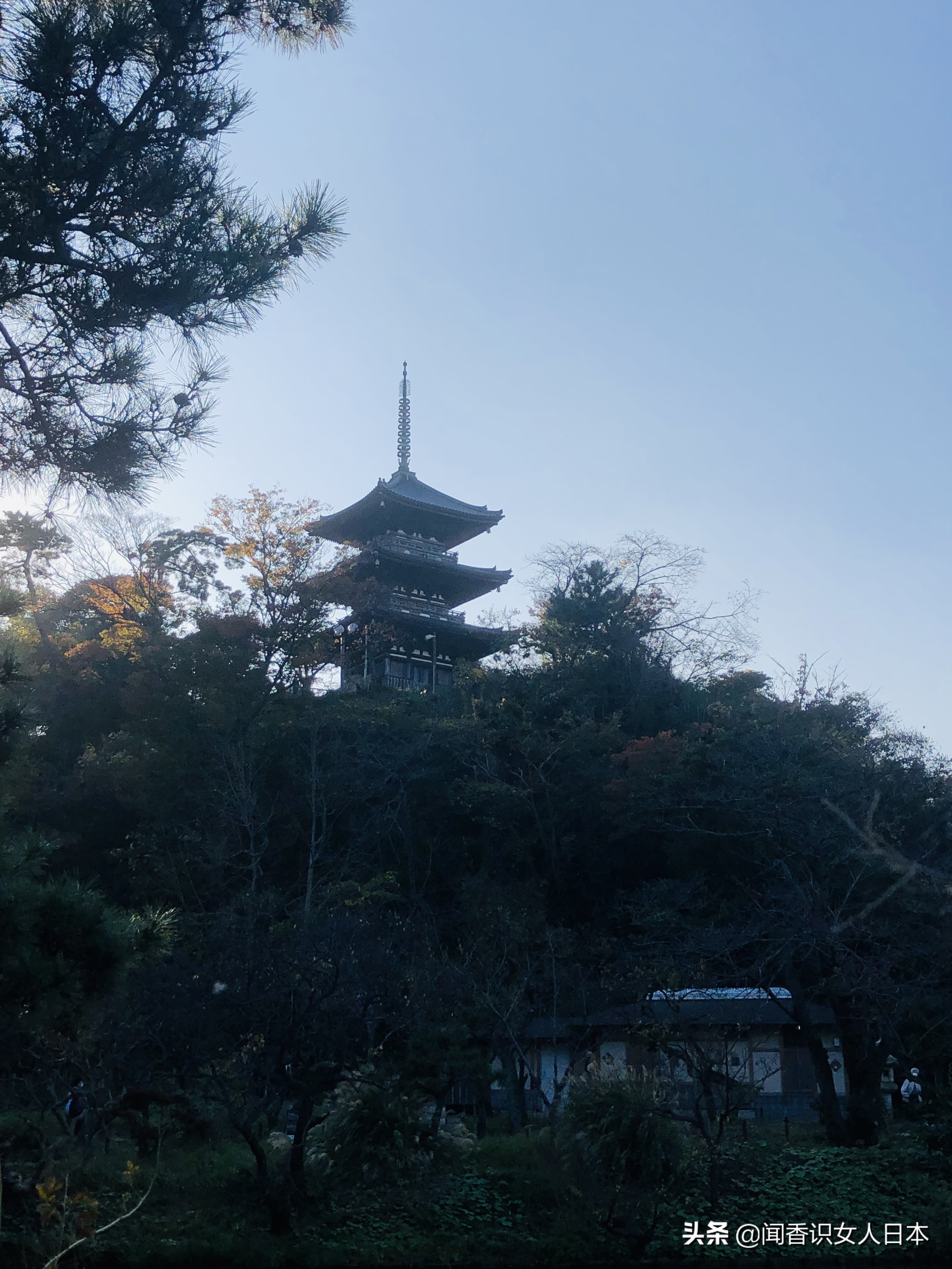 横滨三溪园,横滨三溪园介绍