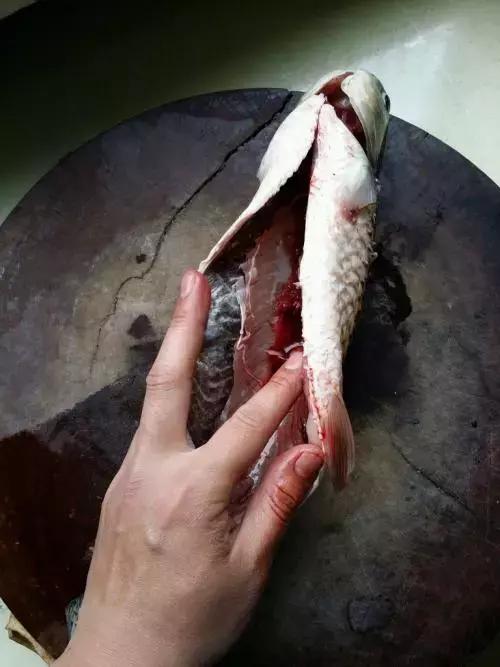 快死的鱼放到河里还能活吗,快死的鱼还在挣扎能活吗