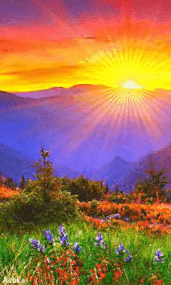 我决定我不再庸人自扰了经典语录,我决定不再前行的歌词