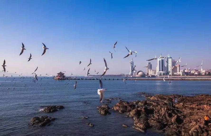 青岛冬天去还是夏天去合适,青岛冬天哪里好玩