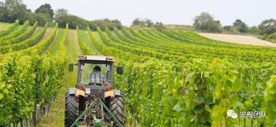 茶人学习:欧洲国家农民合作社融资实践