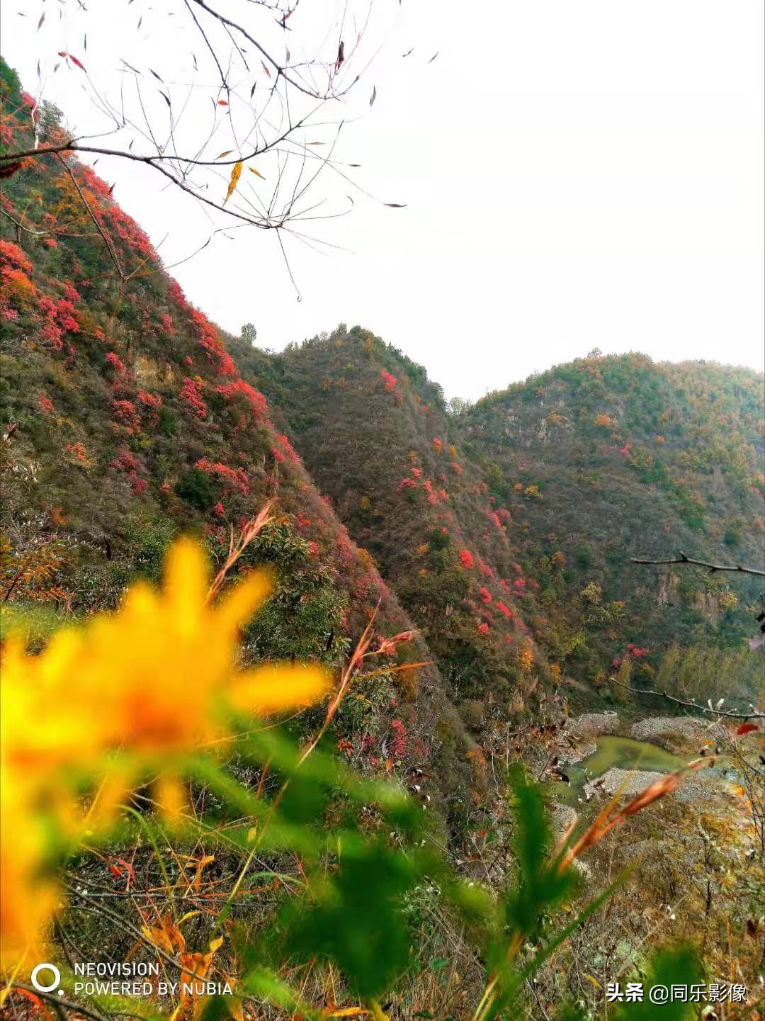 河南汝阳靳村鱼山,靳村鱼山