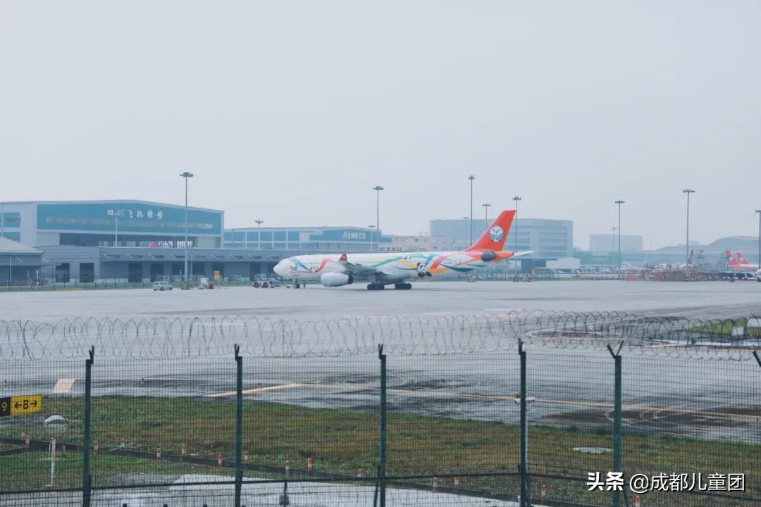 空港花田和空港体育公园哪个好,空港运动公园看飞机攻略