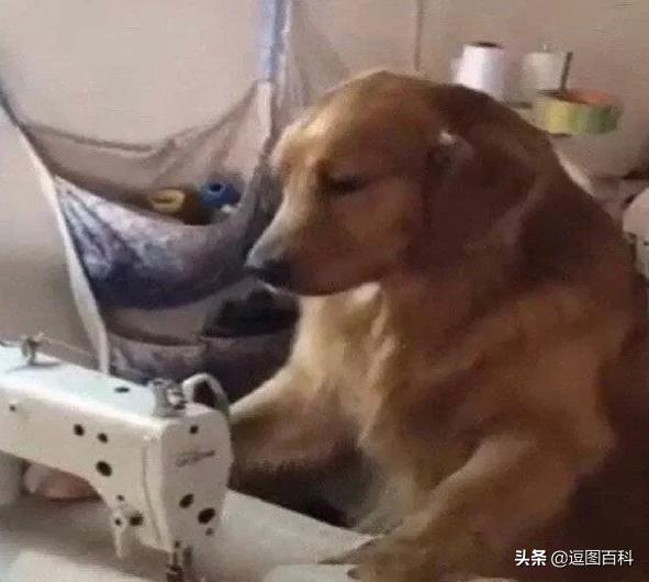 一脚踩进水坑系列,一脚踩进泥坑里那种感觉