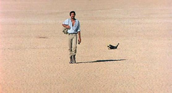 蜜獾平头哥发脾气,蜜獾平头哥对人友好吗