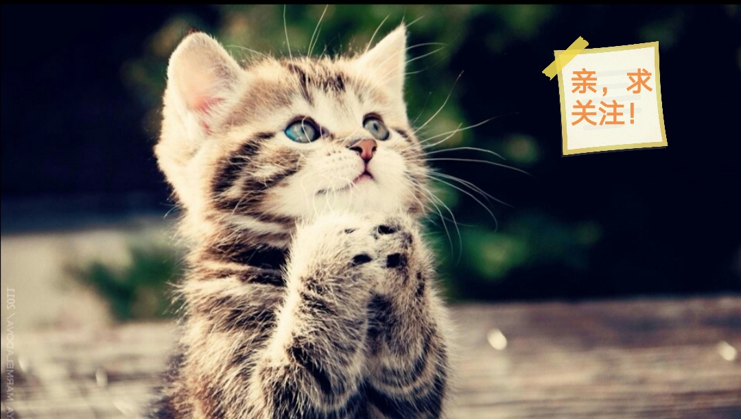 书荒了求高质量都市娱乐小说完结,书荒求推荐好看都市的小说