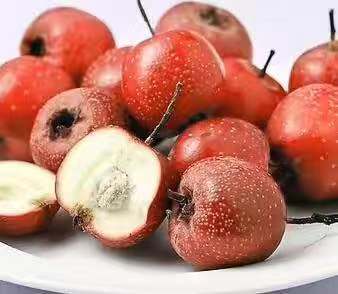 怀孕期间什么东西不能吃容易堕胎,怀孕期间哪些东西不能吃