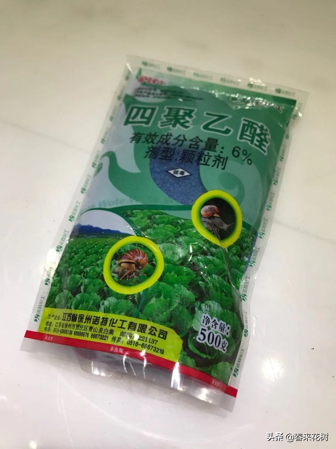 爱养花的坏处,养花防小蜗牛的方法有哪些