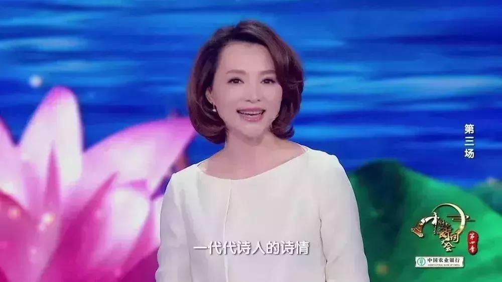 2019诗词大会董卿开场词,董卿诗词大会开场视频