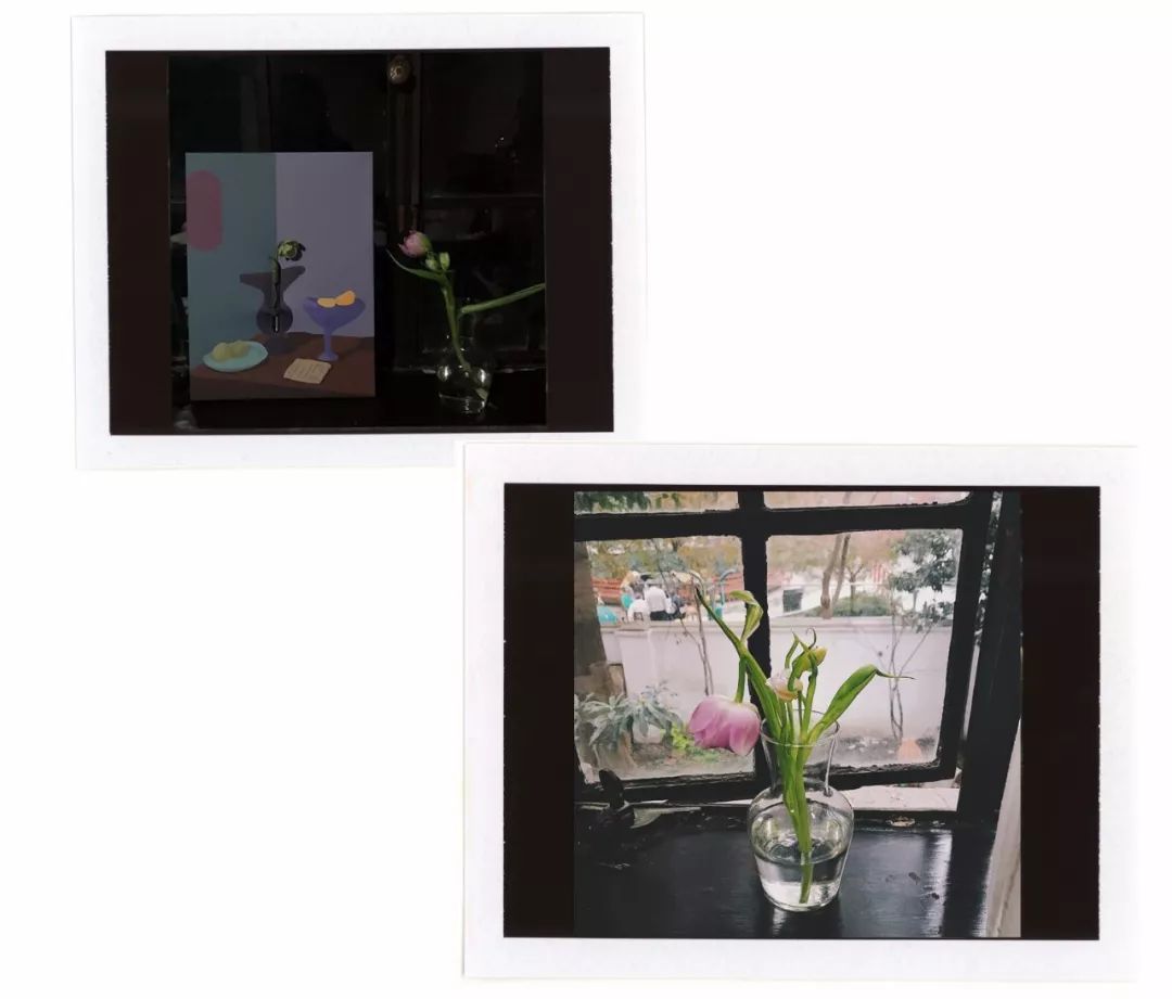 什么花最受女孩欢迎,女孩子中比较受欢迎的花