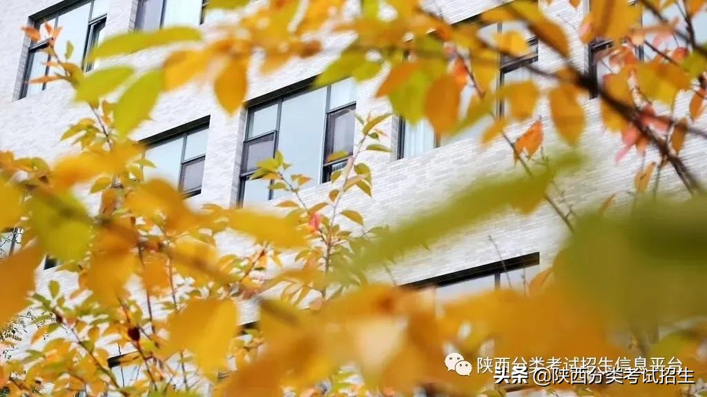 两汉三国，真美汉中|汉中职业技术学院