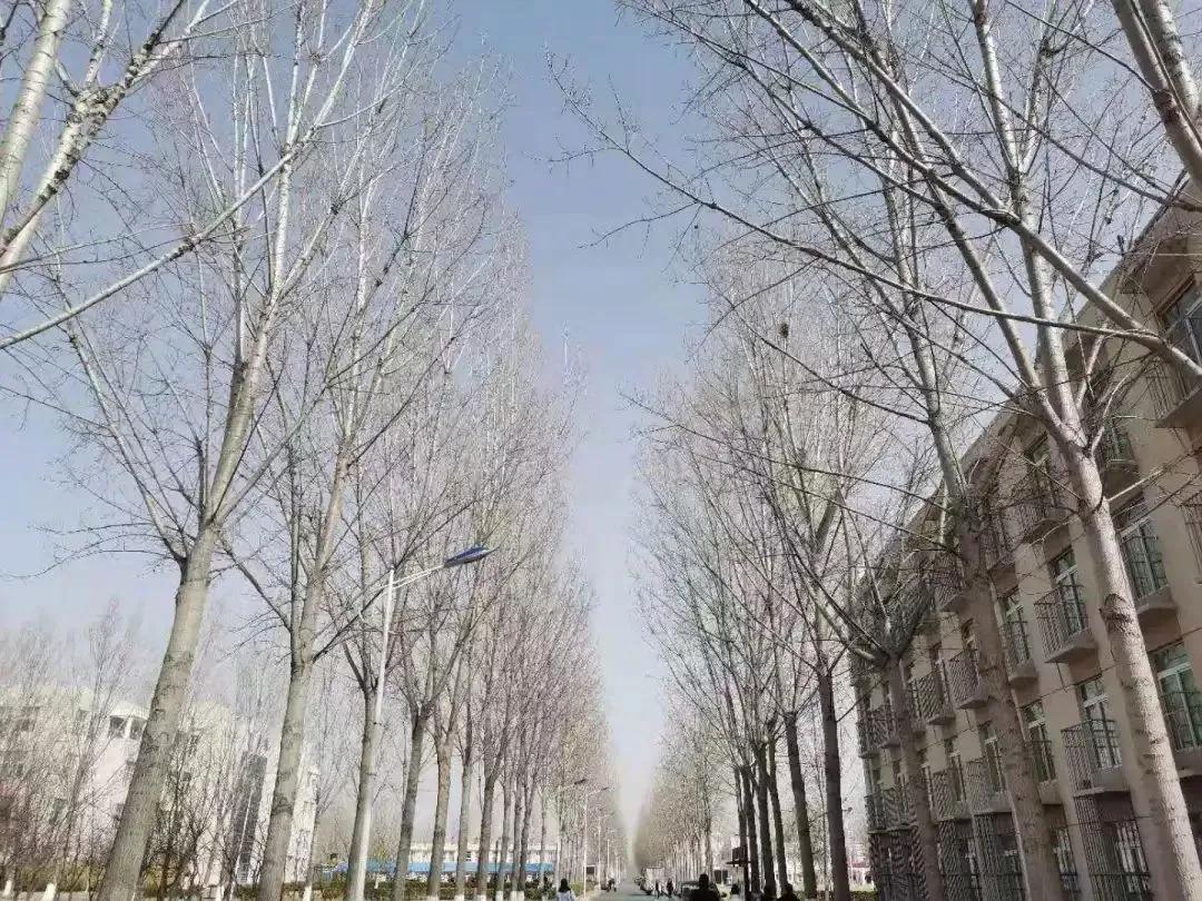 天津市独立院校（四）天津财经大学珠江学院